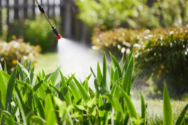 24/7 Emergency Wasp Removal experts in Pandora, OH