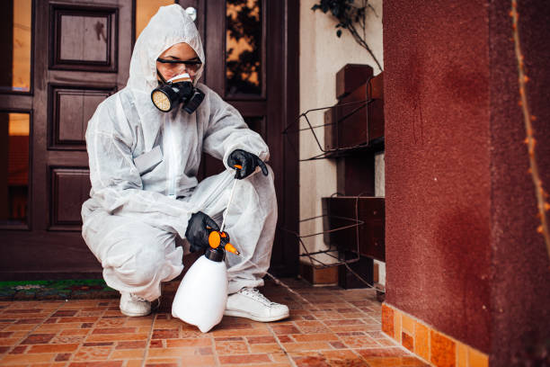 Reliable Wasp Removal contractor in Pandora, OH by Show Me Pest Control